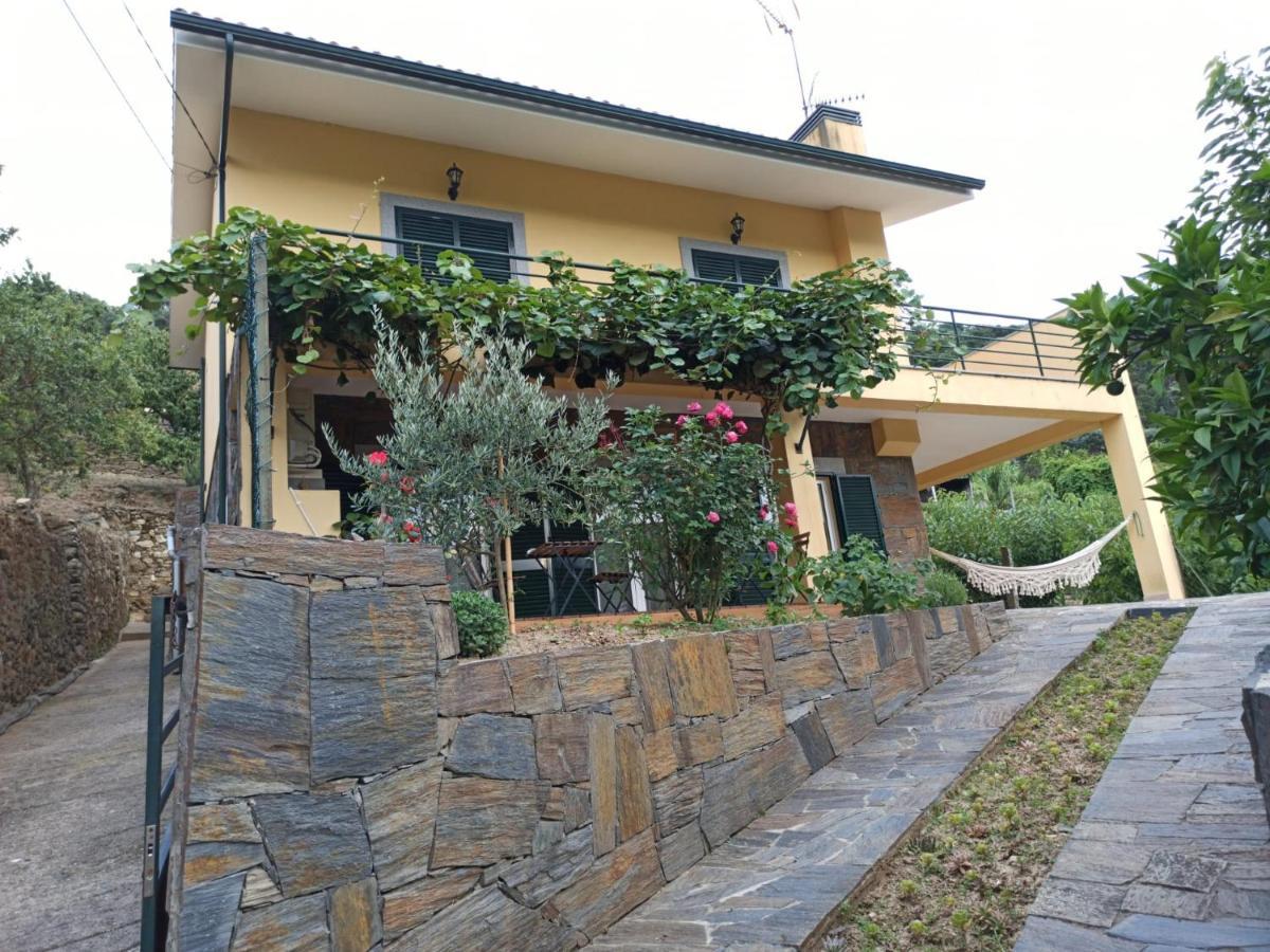 Vineyards Valley House *