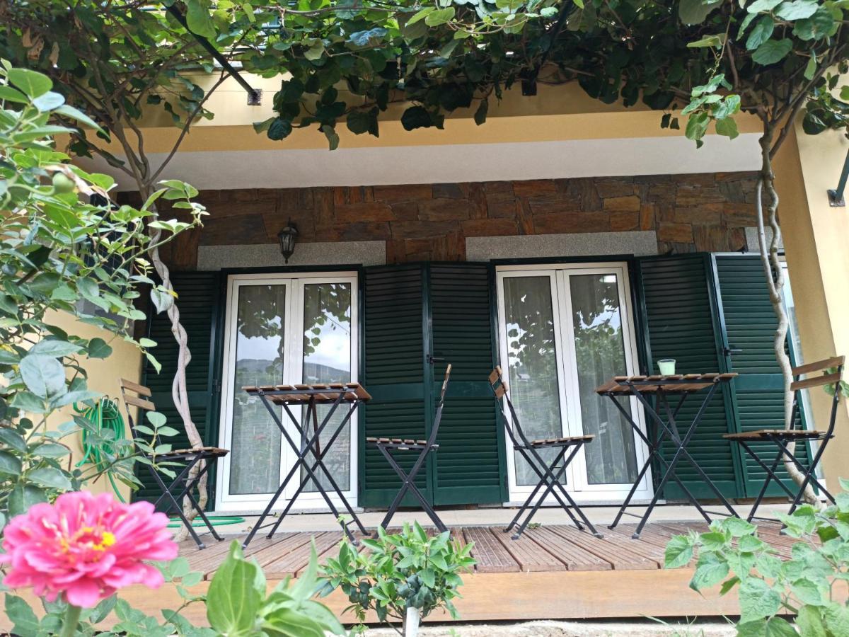 Vineyards Valley House Holiday home Penajoia