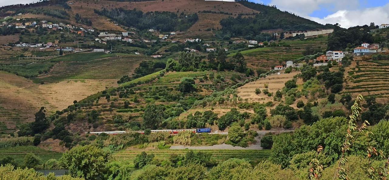 Vineyards Valley House