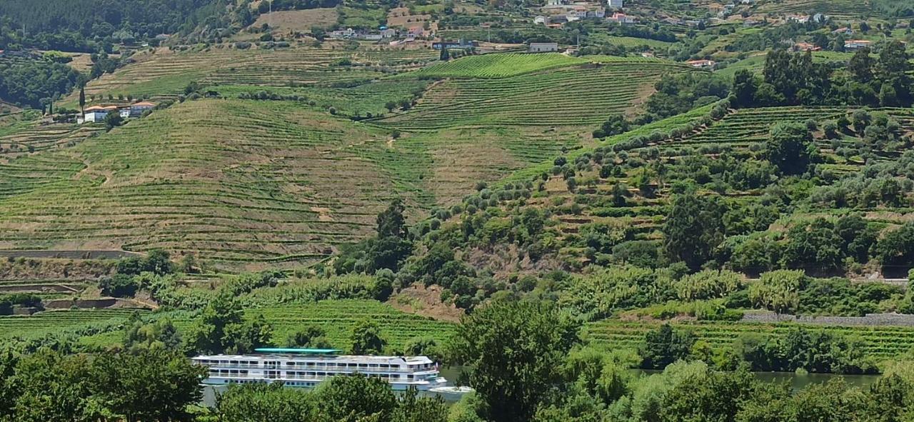 Vineyards Valley House Holiday home
