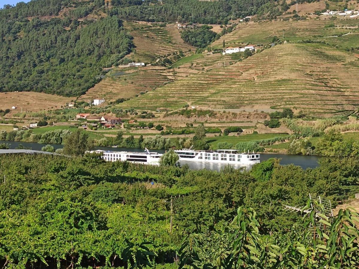 Vineyards Valley House *